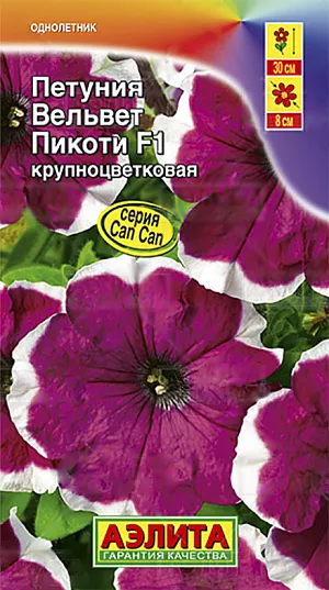 Семена Петуния Вельвет Пикоти F1 из каталога Петуния Семена Петуния Вельвет Пикоти F1.
Нарядная кустовая петуния итальянской селекции из группы грандифлора. Эффектные бархатистые цветки украшены контрастной белоснежной каймой. Цветок объемный, диаметром 8 см, край венчика слегка гофрирован. Компактные полусферические кусты высотой 25-30 см обильно цветут до заморозков. Гибрид используется в основном для оформления мобильных кашпо, балконных контейнеров. В открытом грунте гибрид предпочитает солнечные участки, защищенные от ветра и излишней влаги. Агротехника. Посев на рассаду с февраля до апреля. Семена в гранулах! Посев поверхностный, без заделки (семена прорастают на свету!), под стекло или пленку для сохранения постоянной влажности до полных всходов. Гранулы при посеве должны раствориться! Февральским посевам требуется дополнительная подсветка. Всходы появляются на 5-6 день. Пикировка в фазе 1-2-х настоящих листьев. Высадка в грунт закаленной рассады в конце мая. Для продолжительного и обильного цветения растениям необходим своевременный полив, регулярная прополка, рыхление и подкормка минеральными удобрениями.