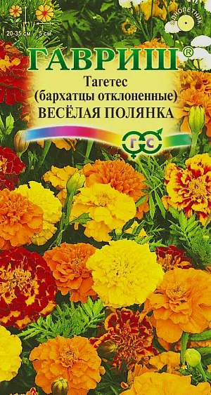 Семена Бархатцы Веселая полянка отклоненные.
Великолепная эффектная смесь сортов. Яркие солнечные краски разнообразных тонов привнесут в ваш сад колорит и нотки праздника. 
Растения прямостоячие, сильноветвистые от основания, высотой 20-35 см. 
Боковые побеги многочисленные, отклоненные.Соцветия махровые, полумахровые, простые, самых разнообразных однотонных и смешанных окрасок, диаметром до 5 см. 
Цветет с июня по сентябрь. Светолюбивы и теплолюбивы, заморозков не переносят. 
К почвам нетребовательны, но предпочитают плодородные легкие почвы. 
Выращивают, как правило, рассадным способом. Посев проводят во второй половине марте-начале апреля. 
Всходы появляются через 4-8 дней после посева, сеянцы пикируют в фазе 2-го настоящего листа. 
Рассаду высаживают в начале июня, расстояние между растениями 20-30 см. 
Используют для посадки на клумбах, рабатках, бордюрах, в балконные ящики, можно использовать как горшечную культуру.
