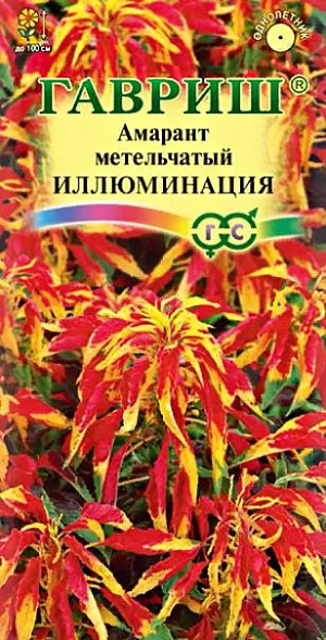 Семена Амарант Иллюминация трёхцветный<br>
 <br>
 Эффектное и очень яркое, с насыщенными красками растение. Формирует прямостоячий куст с декоративно раскрашенной листвой высотой до 100 см. Растет быстро, формируя довольно прочный прямостоящий стебель. Листья крупные, пестрые, с разнотонной «горящей» окраской, переходящей от желтой к оранжево-красной. Растение достаточно теплолюбивое, хорошо растет на солнечных, защищенных от ветра участках с плодородной, дренированной и достаточно увлажненной почвой. Рекомендуется для групповых посадок, в миксбордере как растение заднего плана. Амарант отлично декорирует изгороди и постройки.<br>