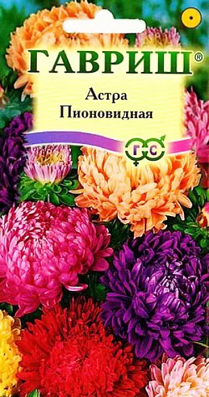 Семена Астра пионовидная Смесь окрасок из каталога Астра Семена Астра пионовидная Смесь окрасок.
Растение пирамидальной формы, высотой 60-65 см. Цветоносы прочные. Соцветия махровые, диаметром 8-10 см, различной окраски. Язычковые цветки плотно прижаты друг к другу и загнуты в середину. Для выращивания подходят хорошо освещенные участки с плодородной суглинистой или супесчаной почвой. Астры обладают высокой холодостойкостью – хорошо переносят заморозки до -3-4°C. Выращивают чаще всего рассадным способом. Семена высевают в марте-апреле, пикируют с развитием первой пары настоящих листочков по схеме 5х5 см, в открытый грунт рассаду высаживают с середины мая до начала июня. Возможен подзимний посев астр: в конце октября на глубину 5-8 см. Сверху посевы мульчируют торфом или опилками на высоту 3-5 см. Весной в конце марта-начале апреля посевы раскрывают. Появившиеся в конце апреля всходы будут закаленными, а выросшие растения сильными, устойчивыми к заморозкам и обильно цвести. Используются для получения срезки и оформления участка.