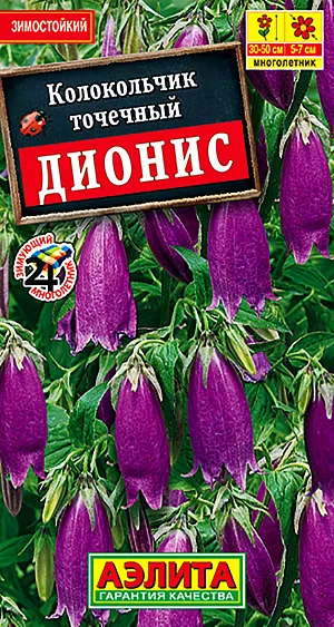 Семена Колокольчик Дионис.
Многолетний неприхотливый колокольчик. Формирует невысокие (30-50 см) кусты, вся надземная часть которых имеет густое опушение. Ценится за способность хорошо расти и цвести в тенистых местах. Цветки поникающие, крупные, длиной 5-7 см, на длинных цветоножках. Венчик густо покрыт пурпурными точками. Цветение обильное – на растении может быть до 35 одновременно раскрытых цветков. Цветение продолжается без перерыва в течение всего лета. Растения зимостойкие. Отлично растут из семян. 
Агротехника. Посев проводят в открытый грунт под зиму, в конце октября или весной. Сеют поверхностно, семена слегка присыпают песком. При весеннем посеве всходы появляются через 10-12 дней. Всходы прореживают. Можно вырастить рассаду – посев в марте, высадка рассады на постоянное место в конце мая-начале июня.