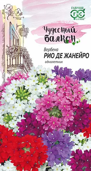 Семена Вербена Рио де Жанейро из каталога Вербена <div>
Семена Вербена Рио де Жанейро.
</div>
Если ваш балкон выходит на северо-восток или северо-запад, где недостаточно света и тепла, то вербена – настоящая находка! Насыщенная окраска ее соцветий отлично подходит для ярких цветочных композиций. Цветущие растения хороши в контейнерах, подвесных вазах и корзинах. Растения кустистые или свисающие (в зависимости от формировки), высотой 20 см. Цветки ароматные, разнообразной окраски, собраны в шаровидные соцветия диаметром 7-8 см. Цветет с июля по сентябрь. Влаголюбива, холодостойка, предпочитает плодородные почвы. Семена вербены трудно всходят, их высевают в конце марта-начале апреля. Всходы появляются через 10-20 дней. Рассаду высаживают в середине мая на расстоянии 20-25 см.