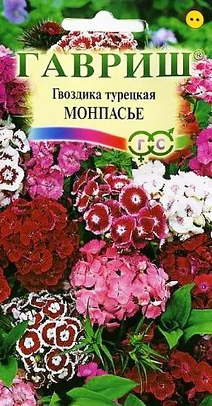 Семена Гвоздика Монпасье турецкая.
Травянистое растение с многочисленными узловатыми стеблями. Стебли прямые, прочные, листья сидячие, ланцетные с сизоватым налетом. Цветки бархатистые, ароматные, самых разнообразных окрасок, собраны в плотные щитковидные соцветия. Зимостойка, предпочитает освещенные участки с легкими плодородными почвами, может расти в полутени. Размножают посевом семян в грунт весной или под зиму. Оптимальная температура для прорастания семян 20 °C. Всходы появляются через 7-10 дней. Сеянцы пикируют или продергивают, выдерживая расстояние между ними в 5 см. Подросшие растения рассаживают на постоянное место. Используют для цветников, бордюров и получения высококачественной срезки.