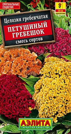 Семена Целозия Петушиный Гребешок смесь окрасок.
Оригинальное быстрорастущее растение с плотными массивными соцветиями напоминающими петушиный гребень. Стебли прямостоячие, мощные, сочные, высотой до 50см. Цветение раннее, обильное и продолжительное, с июля до осенних заморозков. Целозии теплолюбивые, засухоустойчивые, предпочитают солнечные, защищенные от ветра места. Хорошо смотрятся в групповых и одиночных посадках в цветниках, рабатках и на клумбах. Отличный материал для составления зимних сухих композиций. Агротехника. Посев на рассаду в конце марта-начале апреля. Всходы появляются через неделю. С появлением одного-двух настоящих листьев сеянцы пикируют в отдельные горшочки. В открытый грунт рассаду высаживают в начале июня, когда минует угроза заморозков. Растениям необходимы своевременные поливы, прополки, 
рыхления и подкормки. 