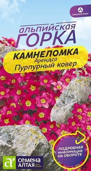 Камнеломка Пурпурный ковер Арендса из каталога Суккуленты Камнеломка Пурпурный ковер Арендса
Миниатюрный садовый многолетник, очаровательное почвопокровное растение. Образует плотно расположенные розетки мелких тройчатых листьев, разрастается, создавая светло-зеленый коврик. Над листьями возвышаются многочисленные тонкие цветоносы (до 15-20см высотой) с одиночными розово-пурпурными цветками. Цветение в мае-июне. Предпочитает участки с легким затенением и рыхлой, с небольшим количеством торфа, умеренно влажной почвой. Холодостойкое растение. Семена можно высеивать в открытый грунт в апреле или под зиму, но удобно выращивать рассадным способом ( с марта): семена не присыпают землей, а накрывают стеклом, пикируют в горшочки в июне-июле пересаживают на место.