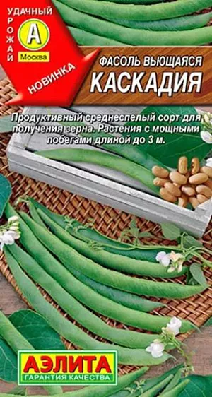 Семена Фасоль вьющаяся Каскадия Семена Фасоль вьющаяся Каскадия