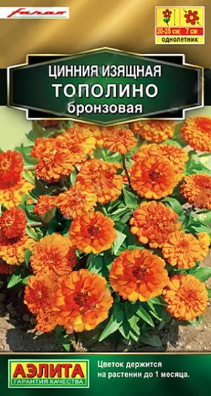 Семена Цинния Тополино бронзовая из каталога Цинния Семена Цинния Тополино бронзовая. Компактные размеры куста очень удачно сочетаются с обильнейшим цветением. Аккуратный низкорослый кустик 20-25 см. высотой буквально усыпан крупными (диаметром 7 см.) густомахровыми соцветиями. Цветки по форме напоминают георгинчики, каждый цветок держится на кусте до месяца. Сорт идеально подходит для горшечного выращивания. В цветниках будет незаменим в низком бордюре, на передних планах миксбордеров, в ковровых посадках на больших участках. Рекомендуем сорт для профессионального озеленения.<br>
<br>
Циннии – растения теплолюбивые, быстрорастущие, относительно засухоустойчивые. Предпочитают солнечные участки с дренированными почвами среднего плодородия, нейтральной кислотности. В южных регионах возможен безрассадный способ выращивания.<br>
<br>
<br>
<br>
<br>