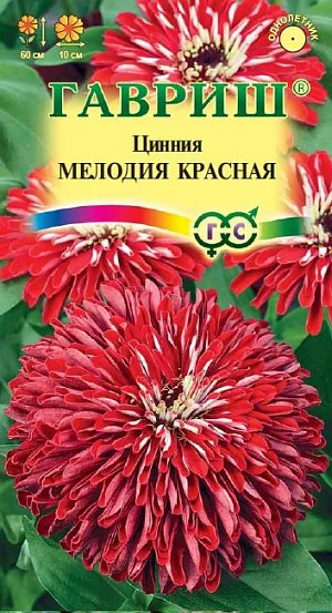 Семена Цинния Мелодия красная из каталога Цинния Семена Цинния Мелодия красная<br>
<br>
Спокойная красота цинний давно полюбилась цветоводам. Но сорт Мелодия выделяется своими необычными соцветиями. Свернутые в виде лодочки цветки-лепестки, остаются в таком виде с начала и до конца цветения. Такая особенность визуально делает соцветие аккуратным, красивым, пушистым, как будто оно недавно распустилось. Насыщенный красный цвет, который не выгорает, только подчеркивает природную красоту сорта. Цветет с конца июня до заморозков. Рекомендуется для классического озеленения сада, высадки в бордюры, рабатки, смешанные однолетние клумбы. Выращивают рассадным способом. Семена высевают в апреле на глубину 1 см. Всходы появляются через 4-6 дней. В начале июня растения высаживают в открытый грунт.<br>