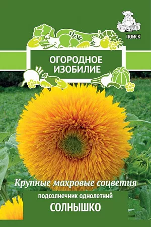 Семена Подсолнечник однолетний Солнышко.
Прекрасное декоративное растение для групповых посадок и срезки. Стебель высотой 50-60 см. Многочисленные махровые соцветия, диаметром до 10 см, имеют золотисто-желтую окраску. Цветет с середины июля по сентябрь. Используют в декоративных и маскировочных группах, для срезки.
Посев: май
Глубина посева: 1,5 см
Время цветения: июль-сентябрь
Схема посадки: 20х25 см