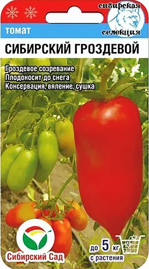 Семена Томат Сибирский гроздевой Семена Томат Сибирский гроздевой