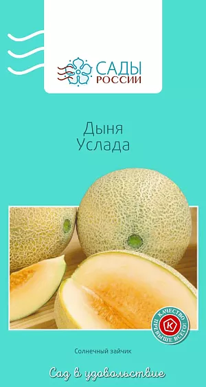 Дыня Услада 6шт
