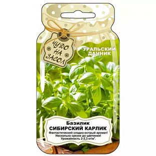 Семена Базилик Сибирский карлик Семена Базилик Сибирский карлик