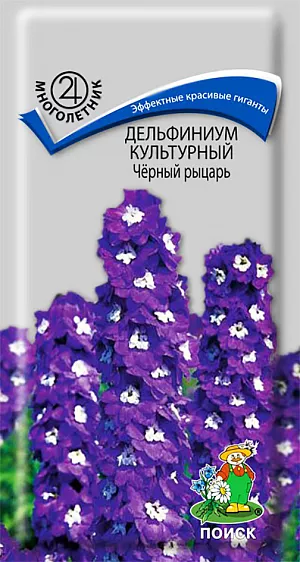 Дельфиниум культурный Чёрный рыцарь из каталога Дельфиниум Семена Дельфиниум Чёрный рыцарь культурный.
Великолепный сорт для срезки. Растение высотой 120-180 см, развивает по 8-10 цветоносных стеблей.
Фиолетово-синие цветки собраны в гигантские, длиной до 70 см, кисти.
Зацветает в конце июня и цветет весь июль. После основного цветения цветоносы срезают, чтобы вызвать вторую волну цветения.
Используют для групповых и одиночных посадок, срезанные цветы хорошо сохраняются в воде.
Агротехника. Растение морозостойкое и засухоустойчивое.
Предпочитает солнечное место, хорошо растет на питательных и умеренно влажных почвах.
Размножают семенами, черенками и делением корневищ. Омолаживание проводят каждые 4-5 лет весенним делением куста.
Посев семян производят весной или осенью в открытый грунт. Глубина заделки семян 0,3-0,5 см.
При температуре почвы +10°C всходы появляются через 20-30-й день. Расстояние между растениям 30-40 см