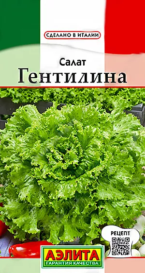 Семена Салат Гентилина