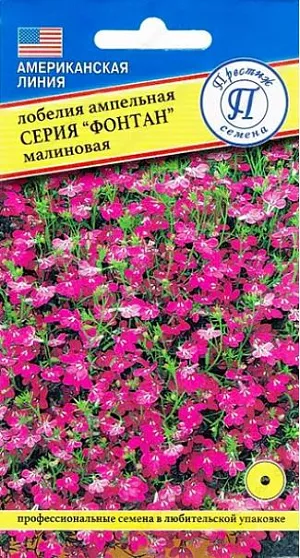 Семена лобелия Фонтан малиновая.<br>
 <br>
Ампельная форма лобелии образует каскад из свисающих побегов длиной до 25 см., ширина растения 25-30 см. Весь кустик усыпан многочисленными мелкими 1-2 см. в диаметре цветками. Широко используется при оформлении подвесных корзин, контейнеров и вазонов. Цветение обильное, продолжительное.