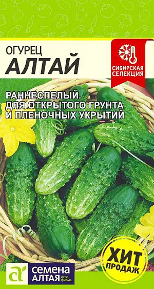 Семена Огурец Алтай Семена Огурец Алтай