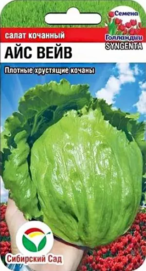 Семена Салат Айс Вейв