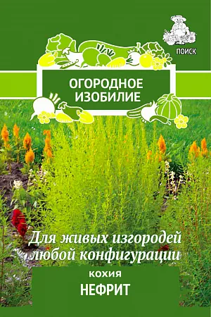 Семена Кохия Нефрит.
Аккуратный округлый кустик похож на карликовое хвойное растение. Декоративное растение, высотой 75-100 см, растет быстро, выдерживает регулярную стрижку. Листья изумрудно-зеленые, с наступлением осени краснеют. Используют как фокусное растение на клумбах, для живых изгородей любой конфигурации.
Посев: май
Глубина посева: 0.5 см
Схема посадки: 60х70 см