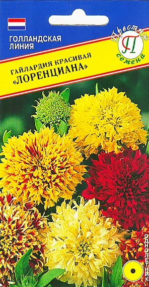 Семена Гайлардия красивая Лоренциана (РС-1) из каталога Гайлардия Семена Гайлардия Лоренциана красивая.
Однолетник. Высокорослый (60 см) сорт гайлардии. Трубчатые цветки собраны в большие, плотные, махровые соцветия, очень декоративного вида, без запаха. Серия имеет яркие, насыщенные цвета. Гайлардия идеально подходит для групповых посадок, рабаток и миксбордеров, смешанных клумб. Посев осуществляют в феврале-марте в рассадные ящики. Семена равномерно распределяют по поверхности влажного компоста, слегка заделывают, накрывают стеклом или прозрачной плёнкой для поддержания влажности. При температуре около 18-22 градусов семена прорастают 1-2 недели. После прорастания плёнку или стекло убирают. В дальнейшем выращивают на свету, но избегая попадания прямых солнечных лучей. После появления 1-2 пары настоящих листочков сеянцы пикируют в отдельные горшочки или ящики шагом 8-13 см. На постоянное место подросшие растения рекомендуется высаживать с шагом 20-30 см начиная с середины апреля. Можно высаживать гнездами по 3-4 растения. Предпочитает сухие, питательные, некислые почвы. Высаживают на открытых солнечных местах. Не переносит избытка влаги, поливают только при пересыхании почвы в жаркую погоду. Удаление увядших соцветий способствует образованию новых бутонов.