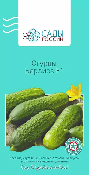 Семена Огурец Берлиоз 