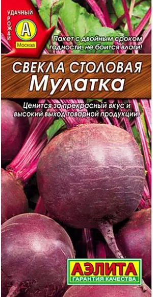 Свекла столовая Мулатка Свекла столовая Мулатка