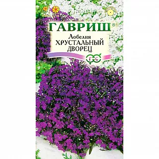 Семена Лобелия Хрустальный дворец