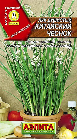 Лук душистый Китайский чеснок