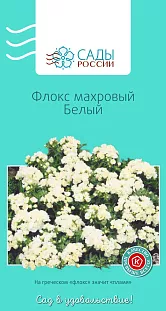 Флокс друммонда махровый белый 10шт