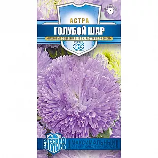Семена Астра Голубой шар