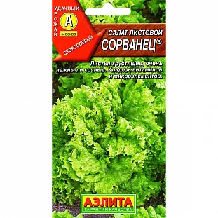 Семена Салат листовой Сорванец