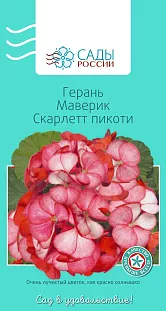 Семена Герань Маверик Сарлетт пикоти 4шт