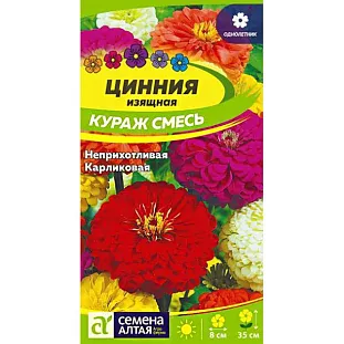 Семена Цинния карликовая Кураж смесь Семена Цинния карликовая Кураж смесь