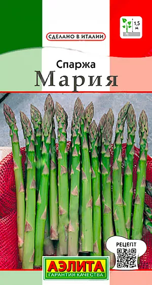 Спаржа Мария (2026; 36.04.01 /4) Спаржа Мария (2026; 36.04.01 /4)