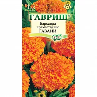 Бархатцы Гавайи прямостоячие