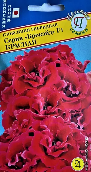 Глоксиния гибридная серии «Брокэйд» - это 100% махровый цветок. Низкорослое – 15-20 см высотой, компактное растение с маленькими листьями. Рекомендуется для выращивания в горшках 10-12 см в диаметре.