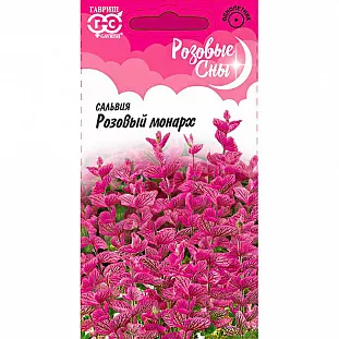 Сальвия Розовый монарх Сальвия Розовый монарх