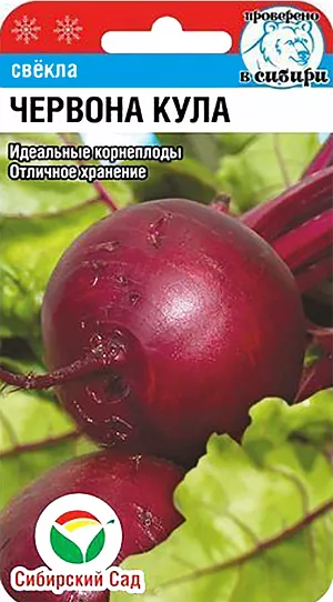 Семена Свекла Червона кула столовая