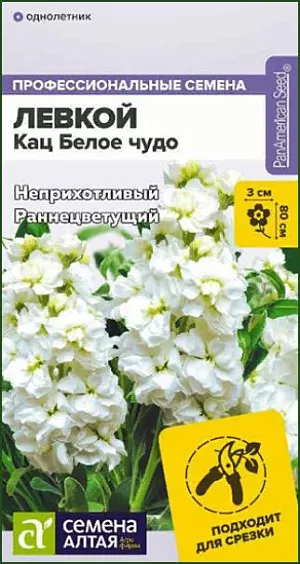 Семена Левкой махровый Кац Белое чудо<br>
 <br>
 Неприхотливый сорт для срезки и высоких клумб. Формирует выравненные кустики с короткими междоузлиями. Цветение раннее, обильное и продолжительное, цветки крупные, белого цвета (50% махровых цветков), собраны в эффектные кисти. Соцветия срезают в стадии 3-5 распустившихся цветков, в срезке стоят до 8 дней, для продления декоративности букеты можно убирать в холодильник. Высота растения: 60-80 см Диаметр цветка: 2,5-3 см Условия выращивания, место посадки: хорошо освещенные места Требования к грунту: питательный легкий грунт с нейтральной реакцией Способы выращивания: рассадный, безрассадный Время посева на рассаду: февраль-март Время посева в грунт: апрель-май, октябрь-ноябрь.<br>