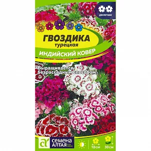 Гвоздика турецкая Индийский ковер Гвоздика турецкая Индийский ковер