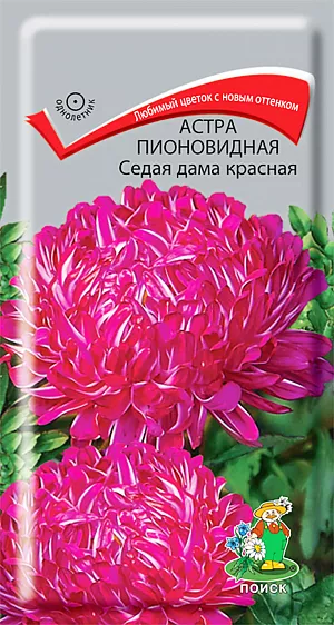 Семена Астра Седая Дама красная Пионовидная.
Изумительные букеты для срезки. Куст колонновидной формы, ветвистый, высотой 60 см. Цветоносы прочные, густооблиственные. Соцветия синие с белой полосой на лепестках, полусферические, густомахровые, непоникающие, 8-10 см в диаметре. Язычковые цветки широкие, приподняты вверх, закрывают трубчатые цветки. Цветет август-октябрь. Используют для посадки в сборные цветники группами, на рабатки – рядами и для срезки. 
Агротехника. Растение предпочитает открытое солнечное место, но выносит и полутень. Лучше растет на легких, плодородных почвах. Не переносит внесения органических удобрений в год посадки. Семена высевают с середины февраля по апрель.