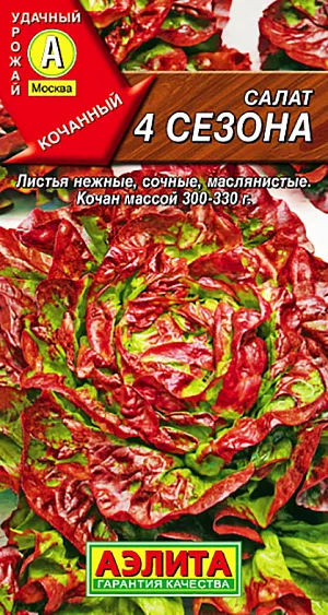 Салат 4 сезона кочанный Салат 4 сезона кочанный