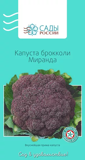 Семена Капуста брокколи Миранда 