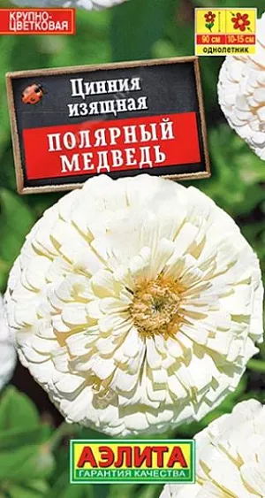 Семена Цинния Полярный медведь. Высокорослый сорт циннии с очень крупными (диаметром 10-15 см.), белыми, махровыми соцветиями. Кусты мощные, ветвистые, с большим количеством крепких цветоносов. Быстро растут и развиваются, достигают высоты 80-90 см. Растения используются для групповых и одиночных посадок в садовых цветниках. Отлично подходят для срезки, цветы долго сохраняют в воде свежесть и красоту.<br>
 <br>
  Циннии – растения теплолюбивые, быстрорастущие, относительно засухоустойчивые. Предпочитают солнечные участки с дренированными почвами среднего плодородия, нейтральной кислотности. В южных регионах возможен безрассадный способ выращивания.<br>