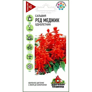 Сальвия Ред Меджик сверкающая Сальвия Ред Меджик сверкающая