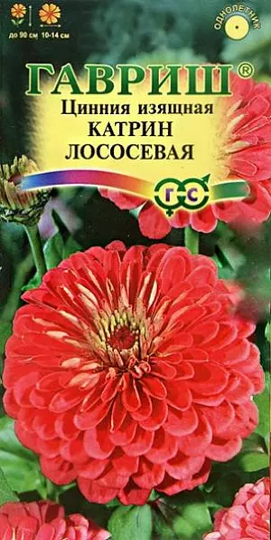 Семена Цинния Катрин Лососевая из каталога Цинния Семена Цинния Катрин Лососевая.
Неприхотливое однолетнее растение семейства Сложноцветные высотой до 90 см. Цветение обильное с июня до заморозков.
Лососевые георгиновидные соцветия до 10 -14 см в диаметре венчают прямые прочные стебли.
Светолюбива, засухоустойчива и теплолюбива. Выращивают рассадным способом. Семена высевают в апреле.
Всходы появляются через 4-6 дней.
В начале июня растения высаживают на расстоянии 25-30 см. Используется для озеленения и получения срезки.