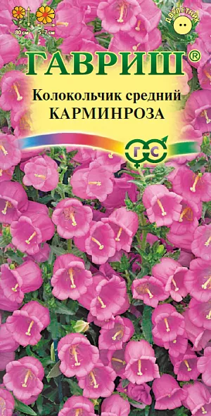 Семена Колокольчик Карминроза (средний) из каталога Колокольчик <div>
Семена Колокольчик Карминроза (средний).
</div>
<article>
<p>
Привлекательное растение из семейства Колокольчиковых высотой 80 см. Цветки бокальчато-колокольчатые, карминно-розового цвета, до 7 см. длиной и 5-7 см. в диаметре, собраны в крупные эффектные соцветия. Цветет с июня по сентябрь. При своевременном удалении отцветающих соцветий цветение - обильное. Предпочитает солнечные участки с хорошо обработанными плодородными почвами. Выращивают прямым посевом в грунт в начале мая или во второй половине октября. Зацветают растения на второй год. Используется для оформления участка и для срезки. Хорошо сочетается с хостами, астильбами. В срезке стоит до 12 дней. Схема посадки 30х30 см.
</p>
</article>