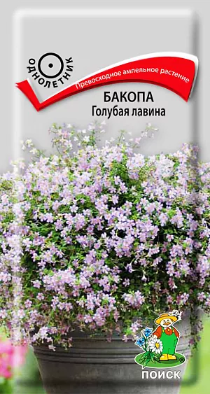 Семена Бакопа Голубая лавина.
Превосходное декоративное растение с поникающими побегами, усеянными сиренево-голубыми цветками. Цветки сиренево-голубыми, многочисленные. Замечательные свойства растения - продолжительное цветение. Используется как горшечная ампельная культура, ее также подсаживают к штамбовым формам растений.
Агротехника. Растение светолюбивое, нуждается в регулярном поливе. Почвы предпочитает со слабокислой реакцией. Посев семян производят в марте - апреле в рассадные ящики.