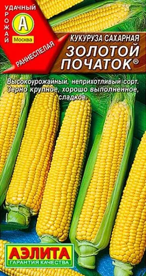 Семена Кукуруза сахарная Золотой початок