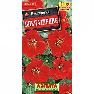 Настурция Впечатление