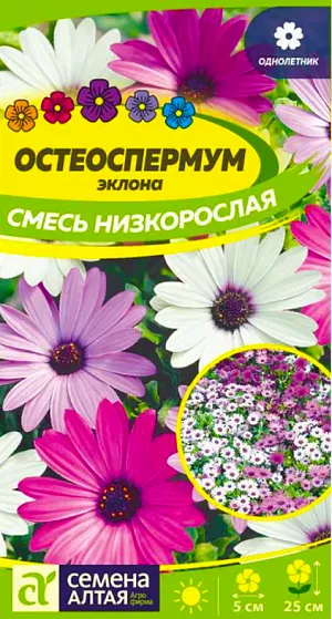 Семена Остеоспермум Смесь низкорослая из каталога Остеоспермум <div>
Семена Остеоспермум Смесь низкорослая.
</div>
Изысканно подобранная продолжительно цветущая смесь «капской маргаритки», выращивается в однолетней культуре. Растение низкорослое, густооблиственное, образует компактные кустики высотой 15-25 см, усыпанные белыми, розовыми, фиолетовыми цветками диаметром до 5 см. Каждый цветок сохраняет декоративность 5-7 дней. Отличительной особенностью культуры является нежный цветочный аромат, который исходит не от цветков, а от стеблей и листьев. Главные достоинства – длительное, с июня по октябрь, непрерывное цветение, растение не теряет декоративности в непогоду. Выращивают в цветниках, вазонах и кадках на террасах и внутренних двориках, балконных ящиках. Растение свето- и теплолюбивое, холодостойкое. Выдерживает кратковременные заморозки до -5°С. Хорошо растет на солнечных участках с рыхлой питательной, хорошо дренированной почвой с нейтральной или слабой кислотностью без застоя воды и избытка органики. Выращивают рассадным способом с высевом семян в марте-апреле в торфяные горшки. Рекомендуется проводить скарификацию.<br>
<br>
Высаживают сухими семенами по одному семени в каждый горшок, глубина заделки 0,5 см. Ёмкость с посевами необходимо накрыть пленкой или стеклом и поместить в светлое прохладное место с температурой воздуха около +20°C. Пленку периодически снимают для проветривания посевов и удаления конденсата. Всходы появляются через 7-10 дней. Высадку рассады в открытый грунт проводят в конце мая – начале июня. Посадочный интервал – 15-20 см. Хорошо отзывается на подкормку минеральными удобрениями.